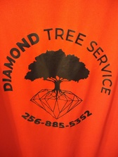 Logo for Diamond Tree Service