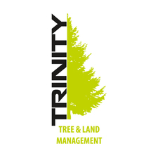 Logo for Trinity Tree and Land Management