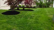 J&J Landscaping Services, LLC logo