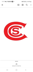 CCS Construction Services logo