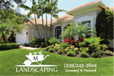Logo for Miguel Andres Lawn Service & Landscape LLC