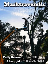 Avatar for Mark Travers LLC