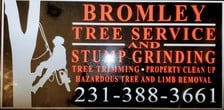 Logo for Bromley Tree Service