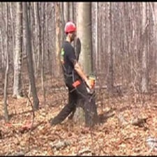 Avatar for Lean-On-Me Tree Service