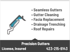 Precision Gutters logo