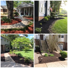 Avatar for Bay Garden Landscaping