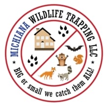 Avatar for Michiana Wildlife Trapping, LLC