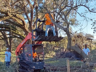New Normal Landscaping & Bobcat Service logo