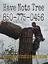 Logo for Have Nots Tree Service