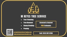 Logo for M Reyes Tree Services, LLC
