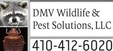 Avatar for DMV Wildlife & Pest Solutions, LLC