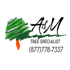 Logo for A & M Tree Specialist
