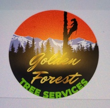 Avatar for Golden Forest