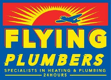 Flying Plumbers logo