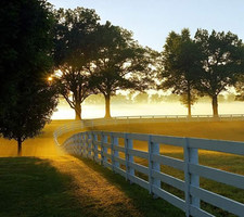 Avatar for American Fence & Deck of NWA