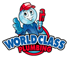 World Class Plumbing, LLC logo