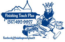 Finishing Touch Plus logo