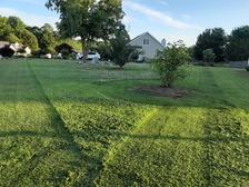 Professional Landscaping & Irrigation logo