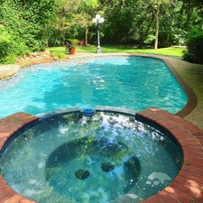 Blue Dreams Pool Service logo