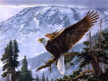 Logo for Eagle Ground Control Landscaping, LLC