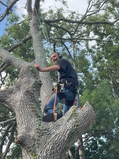 Avatar for Everything Green Tree Service