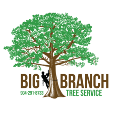 Big Branch Tree Service, Inc. logo