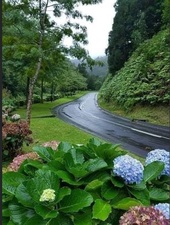 Avatar for Bonilla Landscaping, Corp.