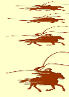 Antimite Associates, Inc. logo