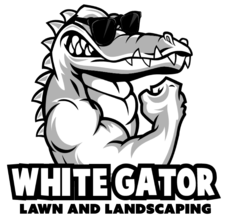Avatar for White Gator Lawn and Landscaping