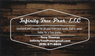 Infinity Tree Professionals, LLC logo