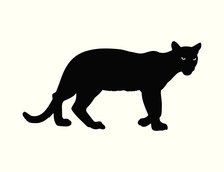 Panther Remodeling & Repairs, LLC logo