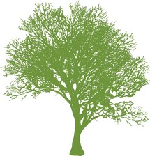 Logo for Kennyland Tree Works, LLC