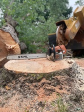 Avatar for Lawns-N-Logs