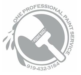 One Professional Paint Service logo