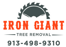 Avatar for Iron Giant Tree Removal, LLC