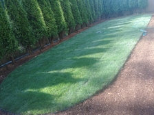 MS Landscaping logo