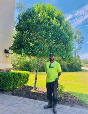 Leroy's Lawn Care LLC logo