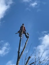 Avatar for Northern New England Tree Removal