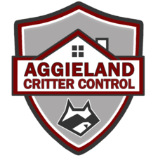 Avatar for Aggieland Critter Control