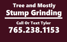 Avatar for Trees & Mostly Stumps