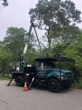 Logo for All Island Tree Service Corp