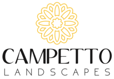 Felipe Campos logo