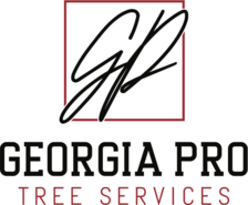 Avatar for Pro Services of Georgia