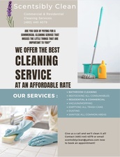 Scentsibly Clean logo