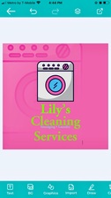 Avatar for Lily's Cleaning Services