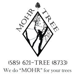 Mohr Tree Service logo