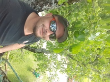 Avatar for K & R Tree Service