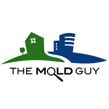 The Mold Guy, Inc. logo