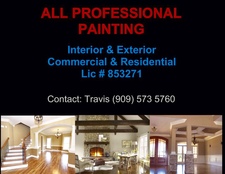 All Professional Painting and Decor logo