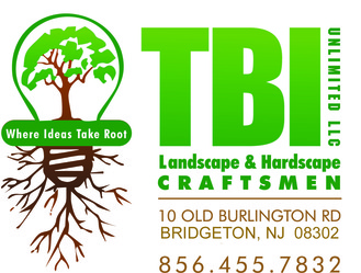 TBI Unlimited, LLC logo